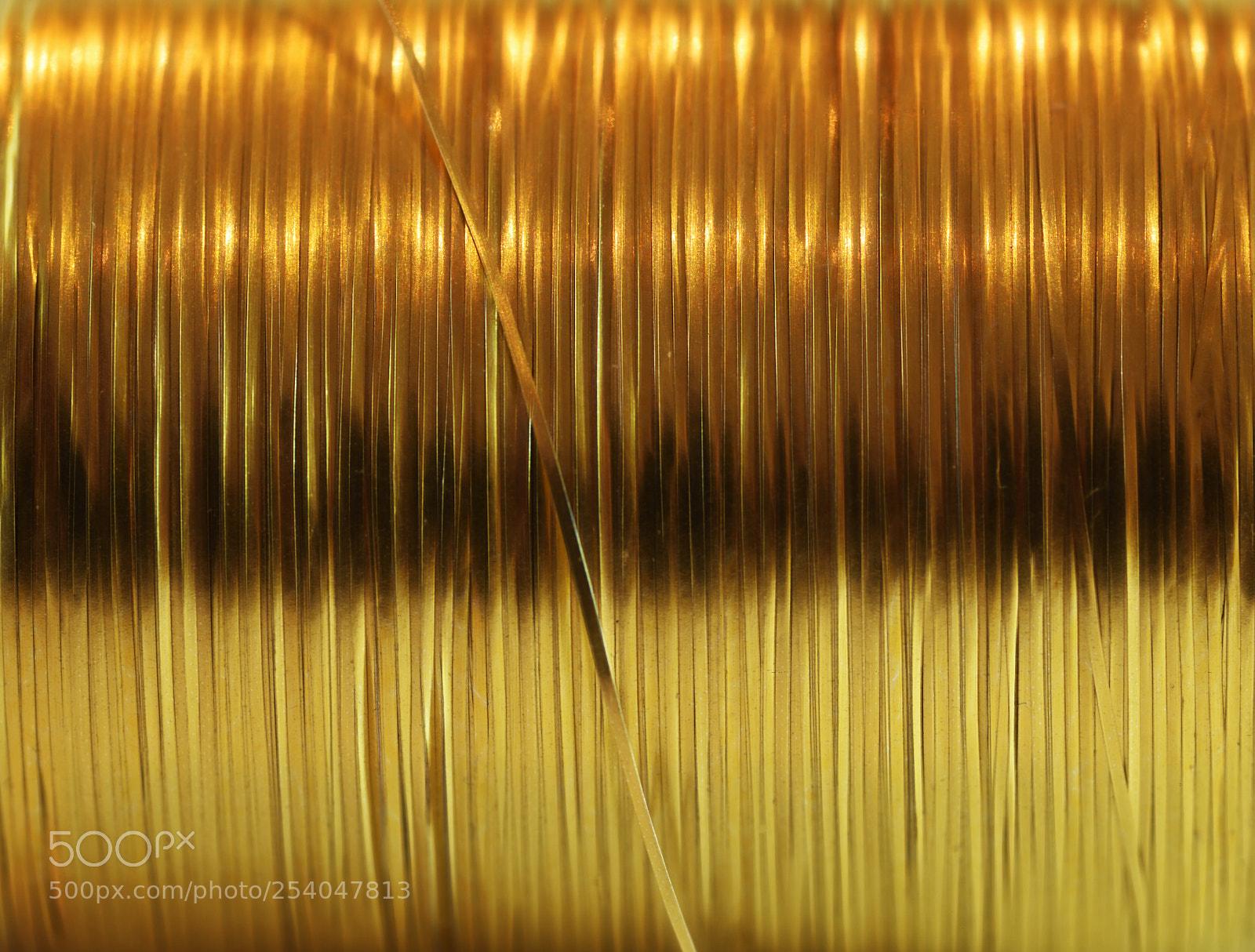 Nikon D810 sample photo. Spool of gold photography