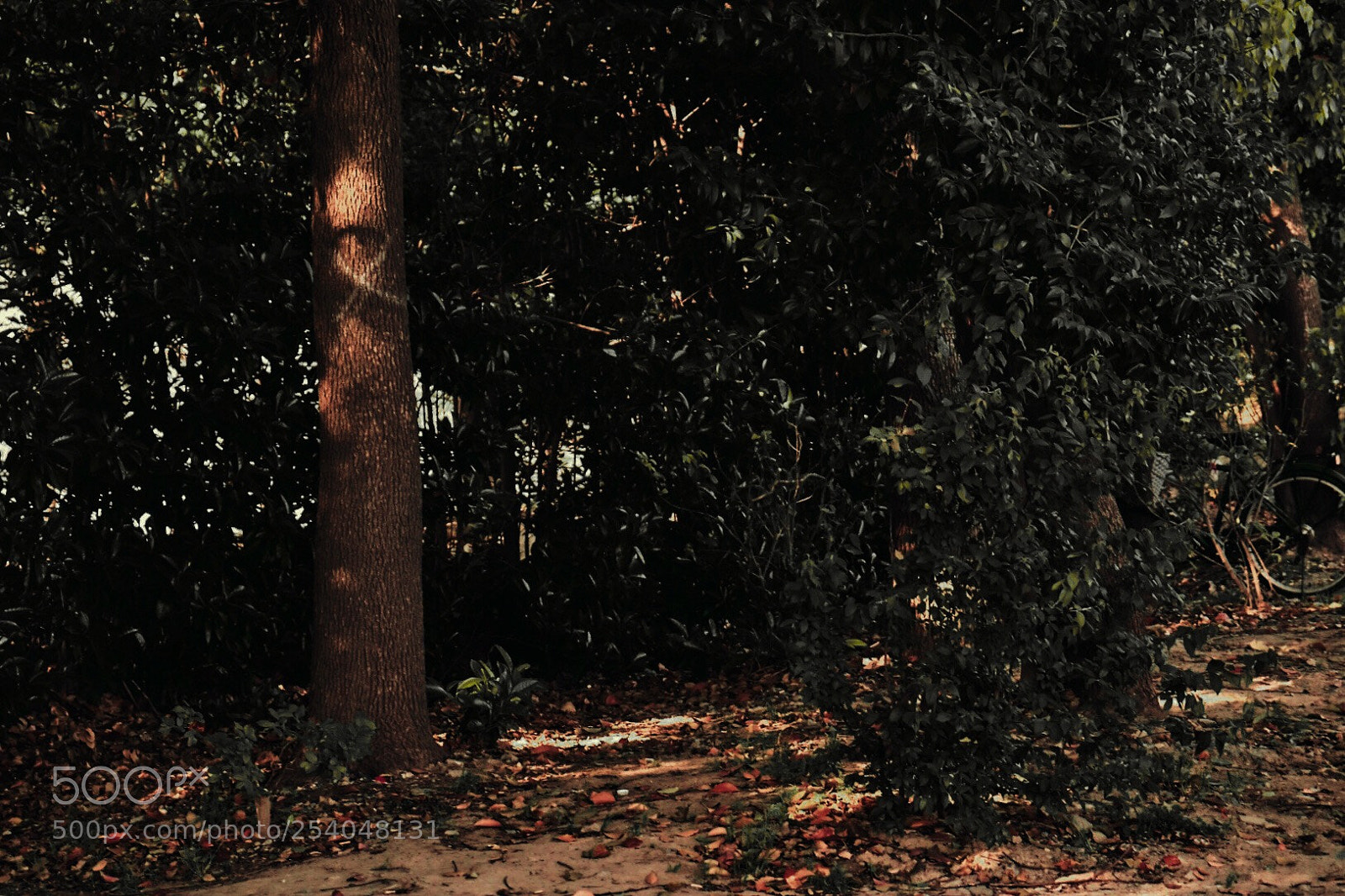 Fujifilm X-T20 sample photo. Untitled photography