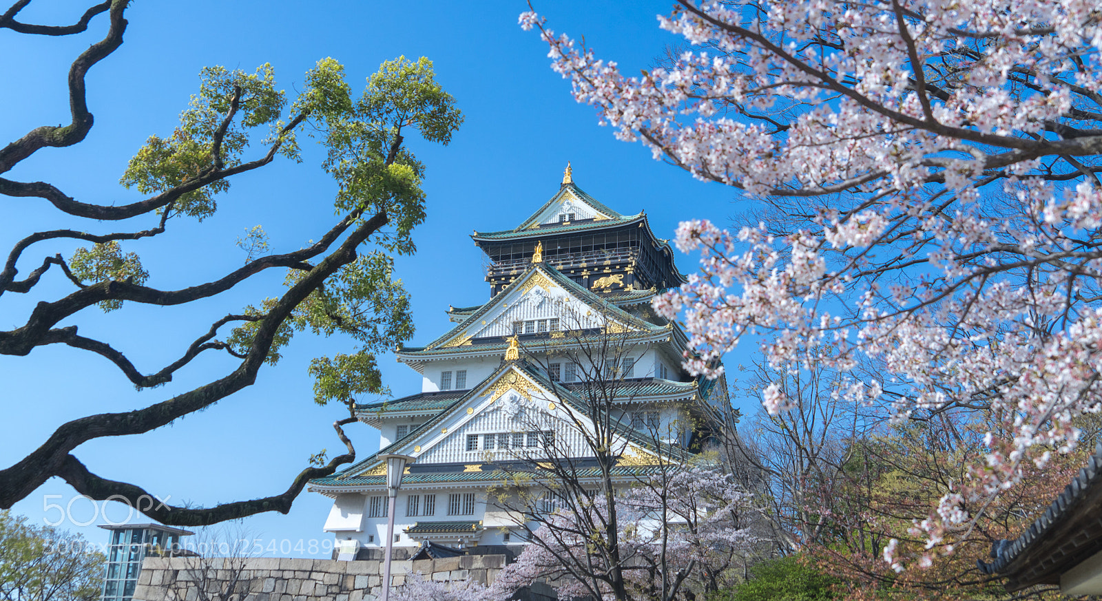 Sony a7 II sample photo. Osaka castle photography