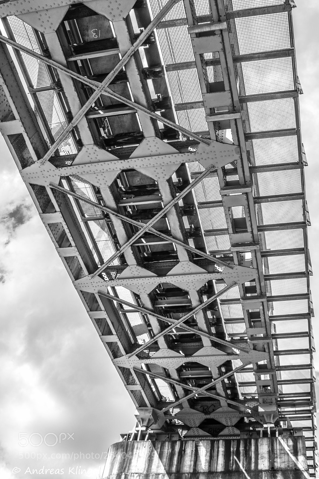 Nikon D5300 sample photo. Bridge photography
