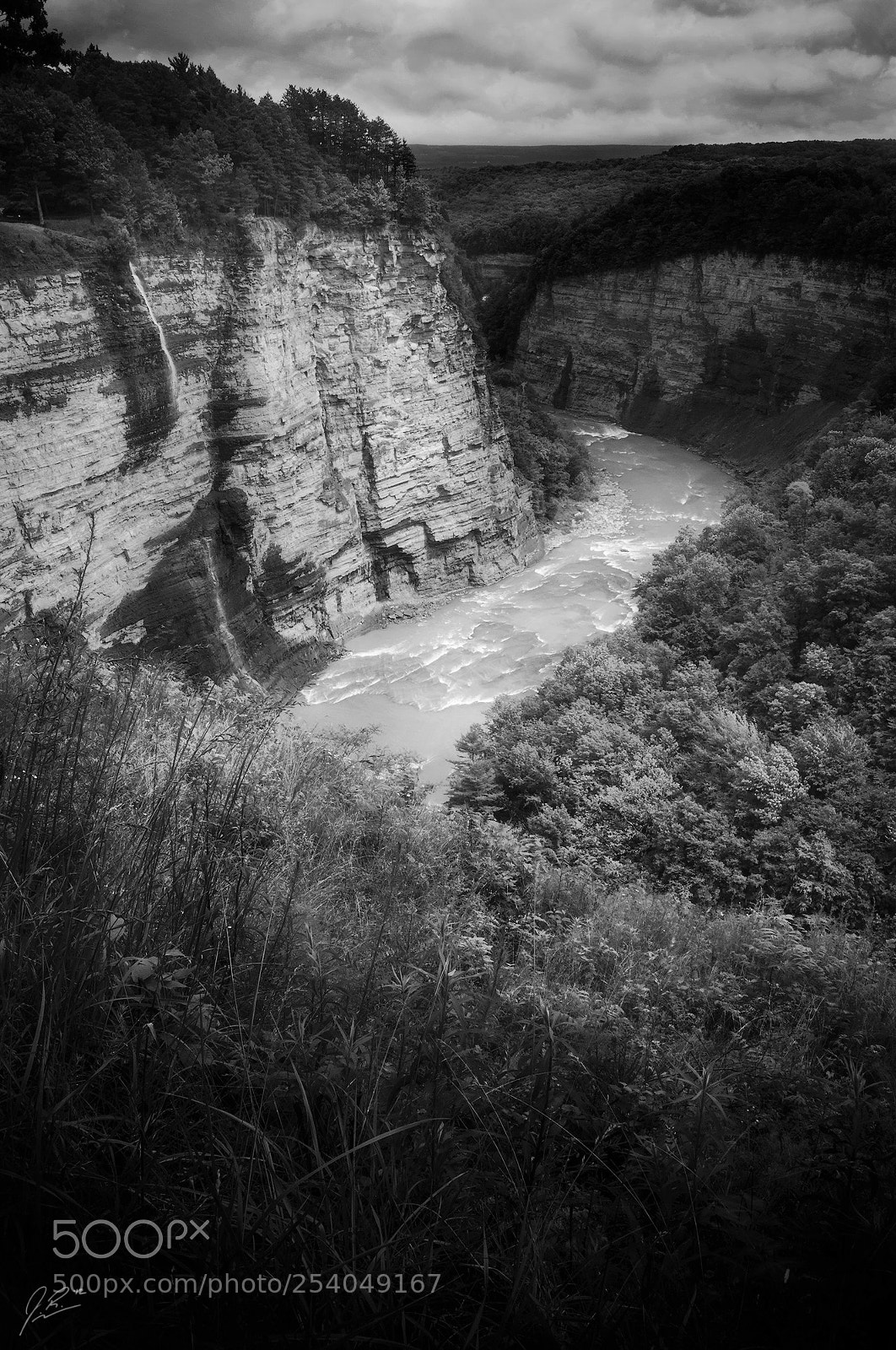 Nikon D90 sample photo. Inspiration photography
