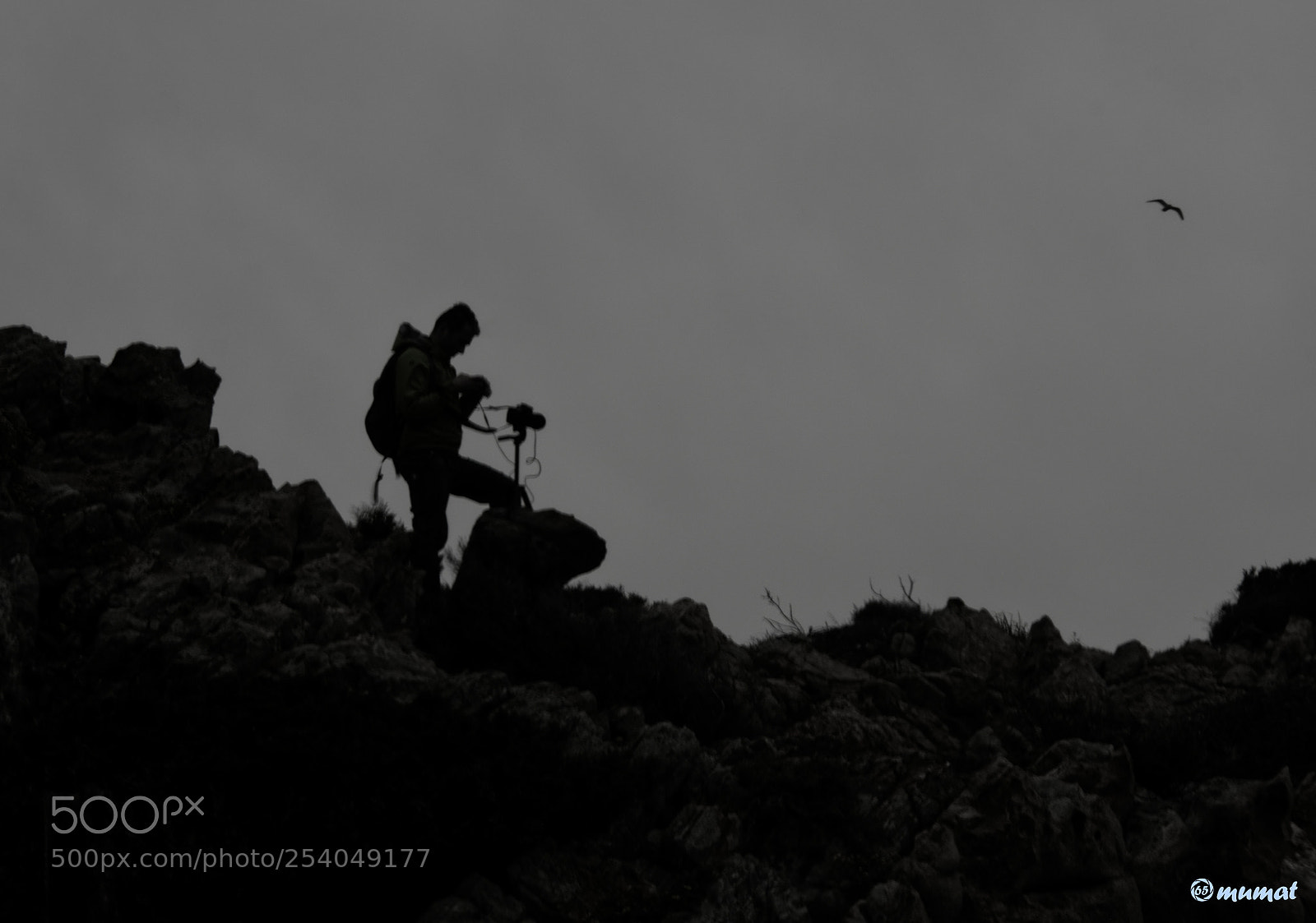 Nikon D7200 sample photo. Silhouette photography