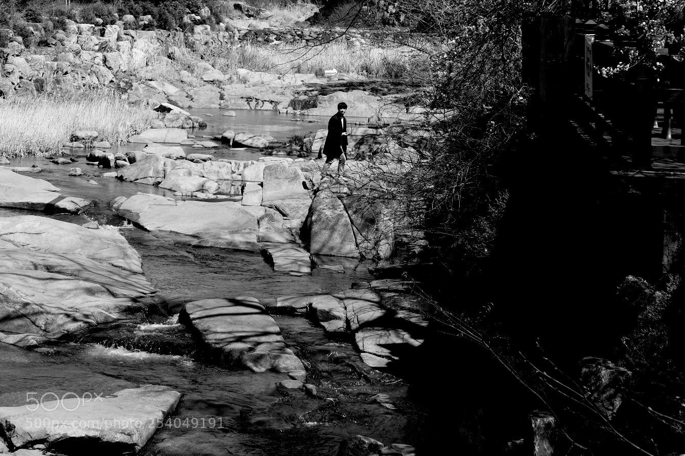 Fujifilm X-E3 sample photo. 봄의 기억 photography