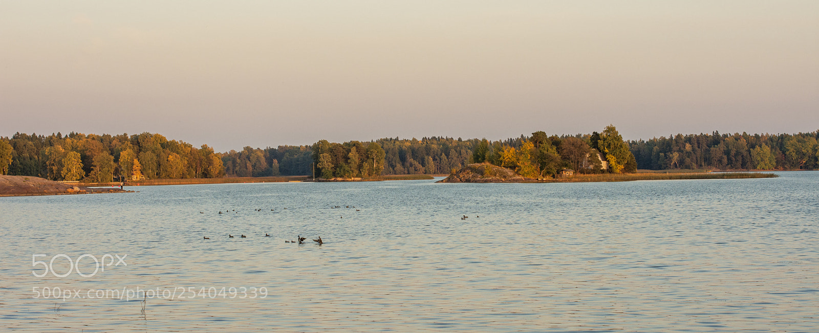 Nikon D7200 sample photo. A few birds... photography