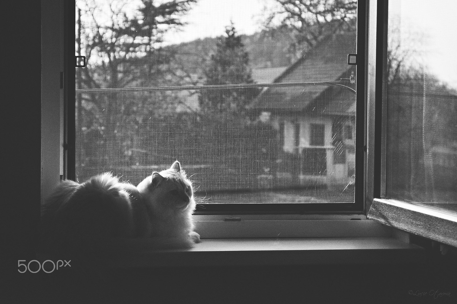 Nikon D7200 sample photo. The view photography