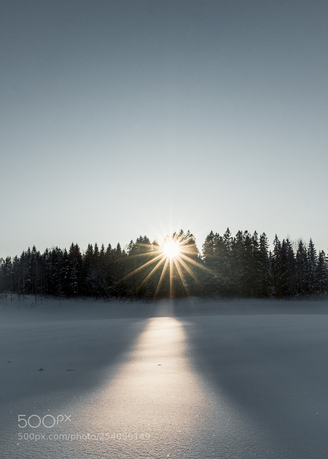 Fujifilm X-T2 sample photo. Sunstar photography