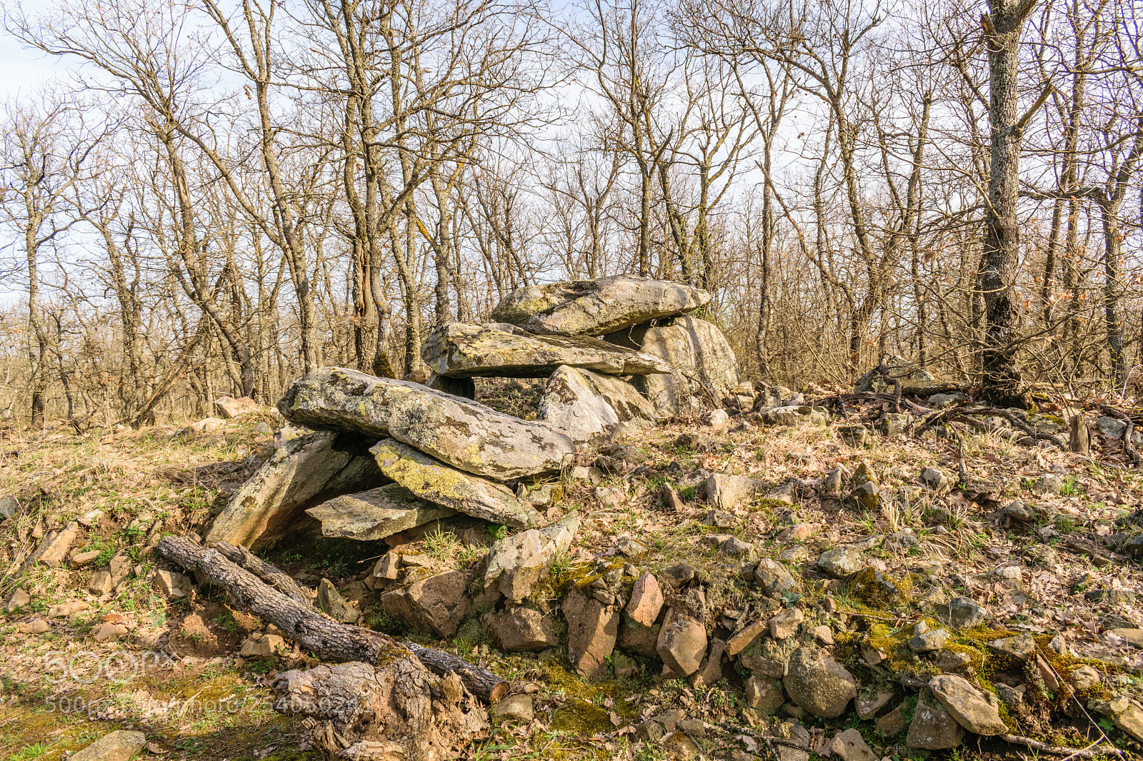 Nikon D3300 sample photo. Dolmen hidden in the photography