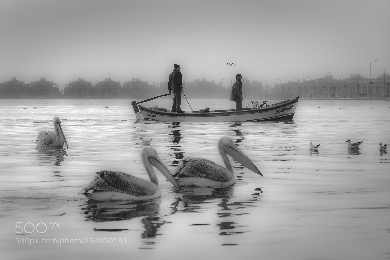 Nikon D5100 sample photo. Returning home fishermen photography