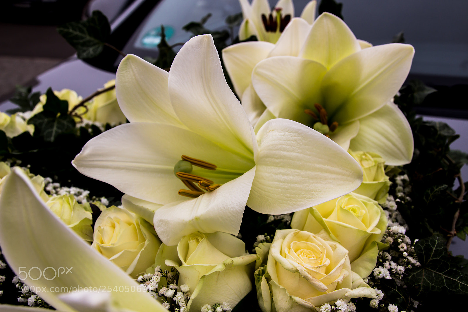 Canon EOS 700D (EOS Rebel T5i / EOS Kiss X7i) sample photo. Wedding-flower photography