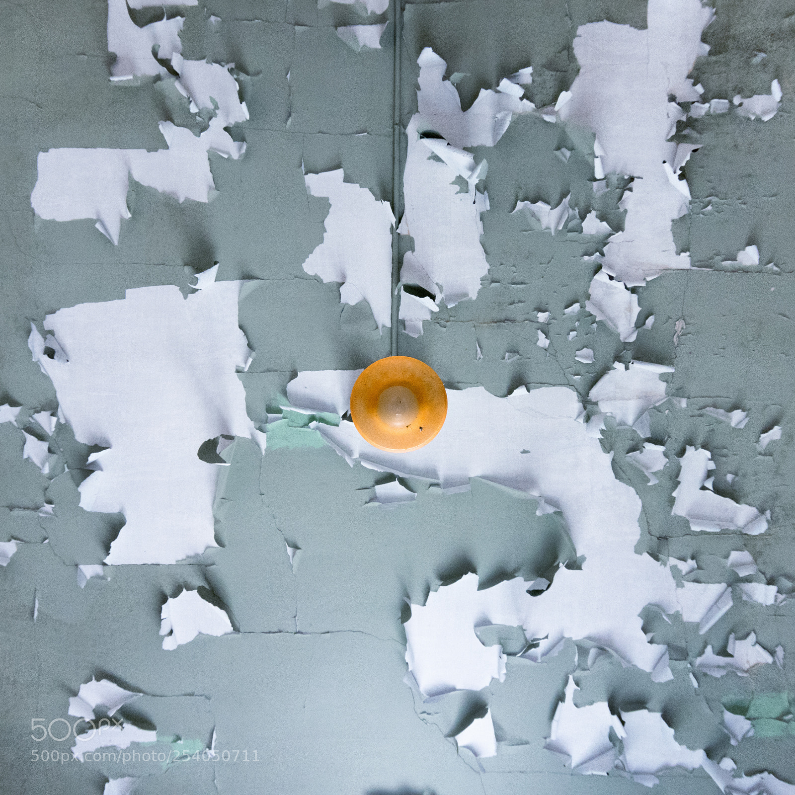 Nikon D7500 sample photo. Ceiling photography