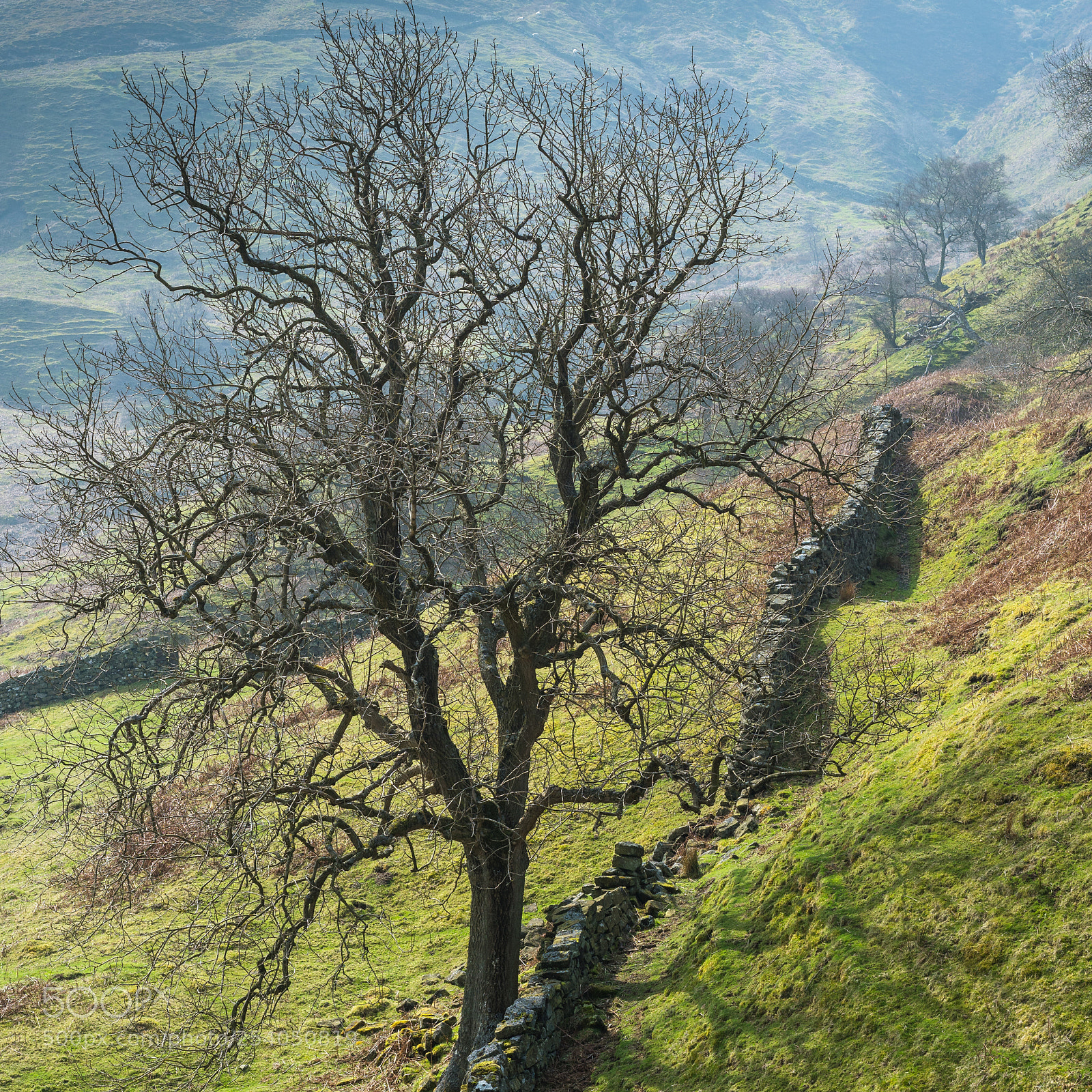 Sony a6500 sample photo. North york moors photography