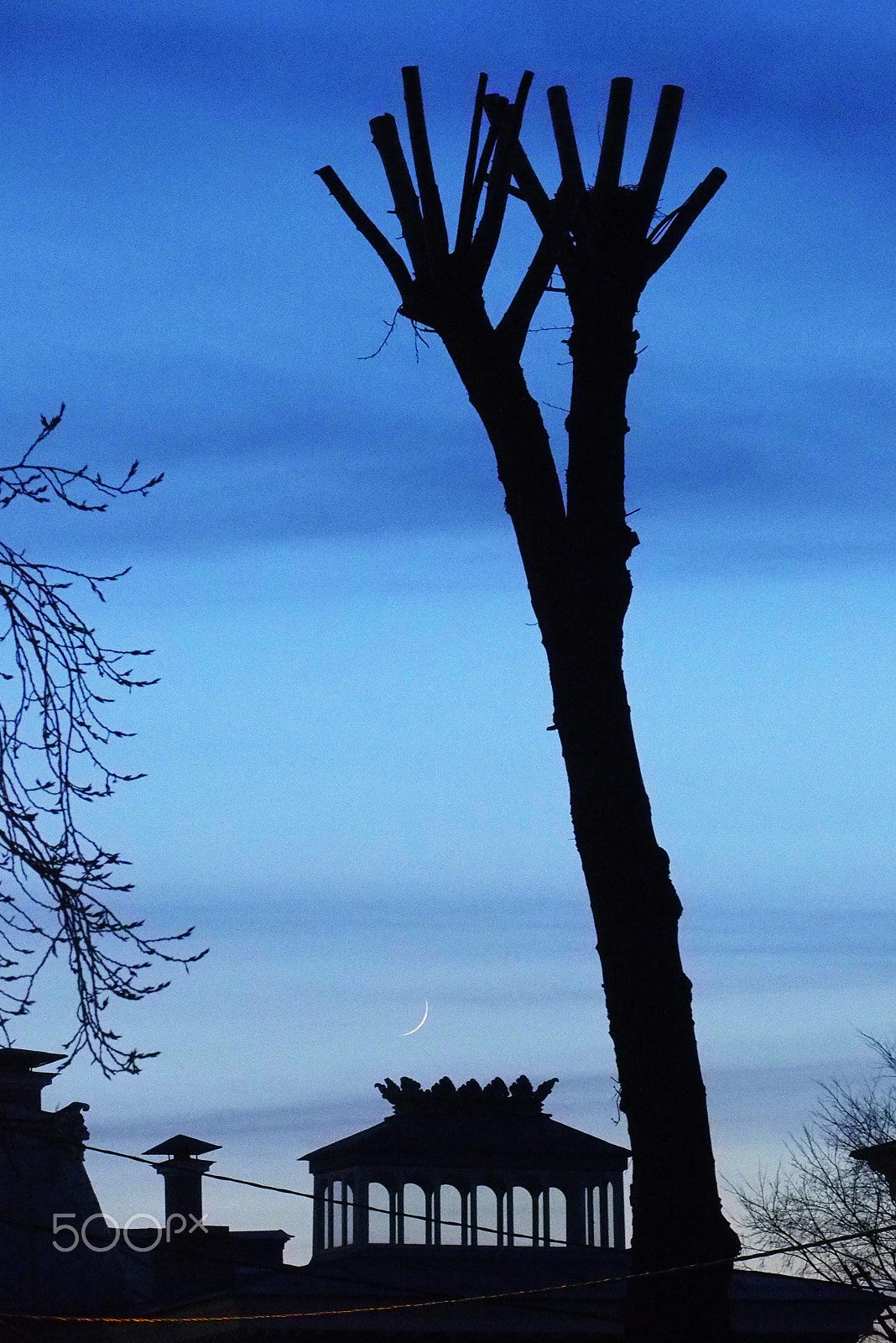 Olympus STYLUS1,1s sample photo. Half moon photography