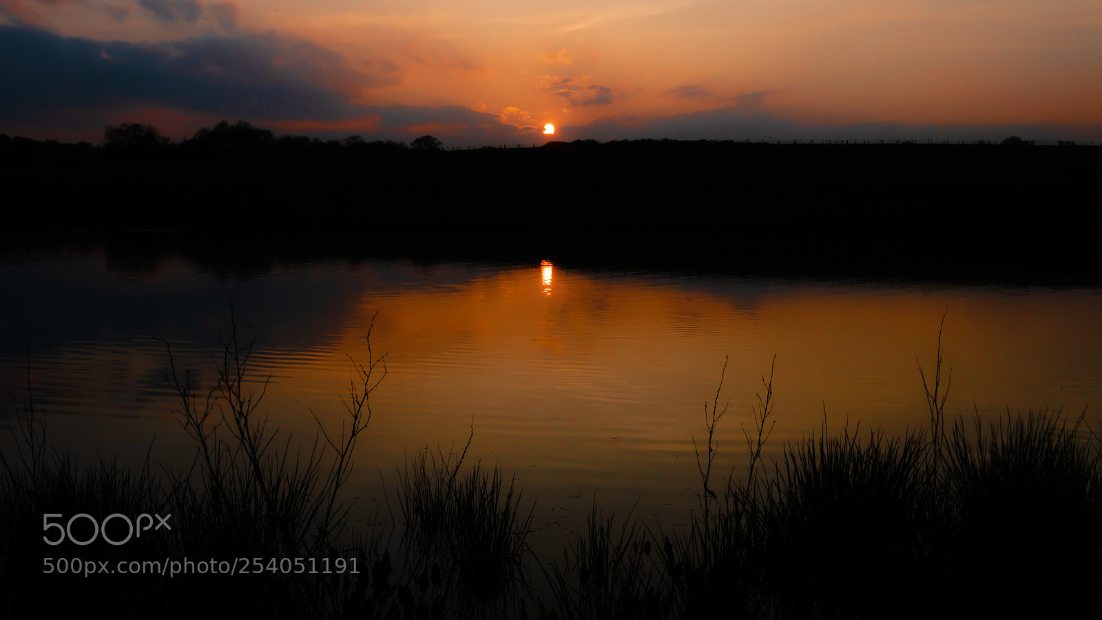 Sony ILCA-77M2 sample photo. Untitled photography