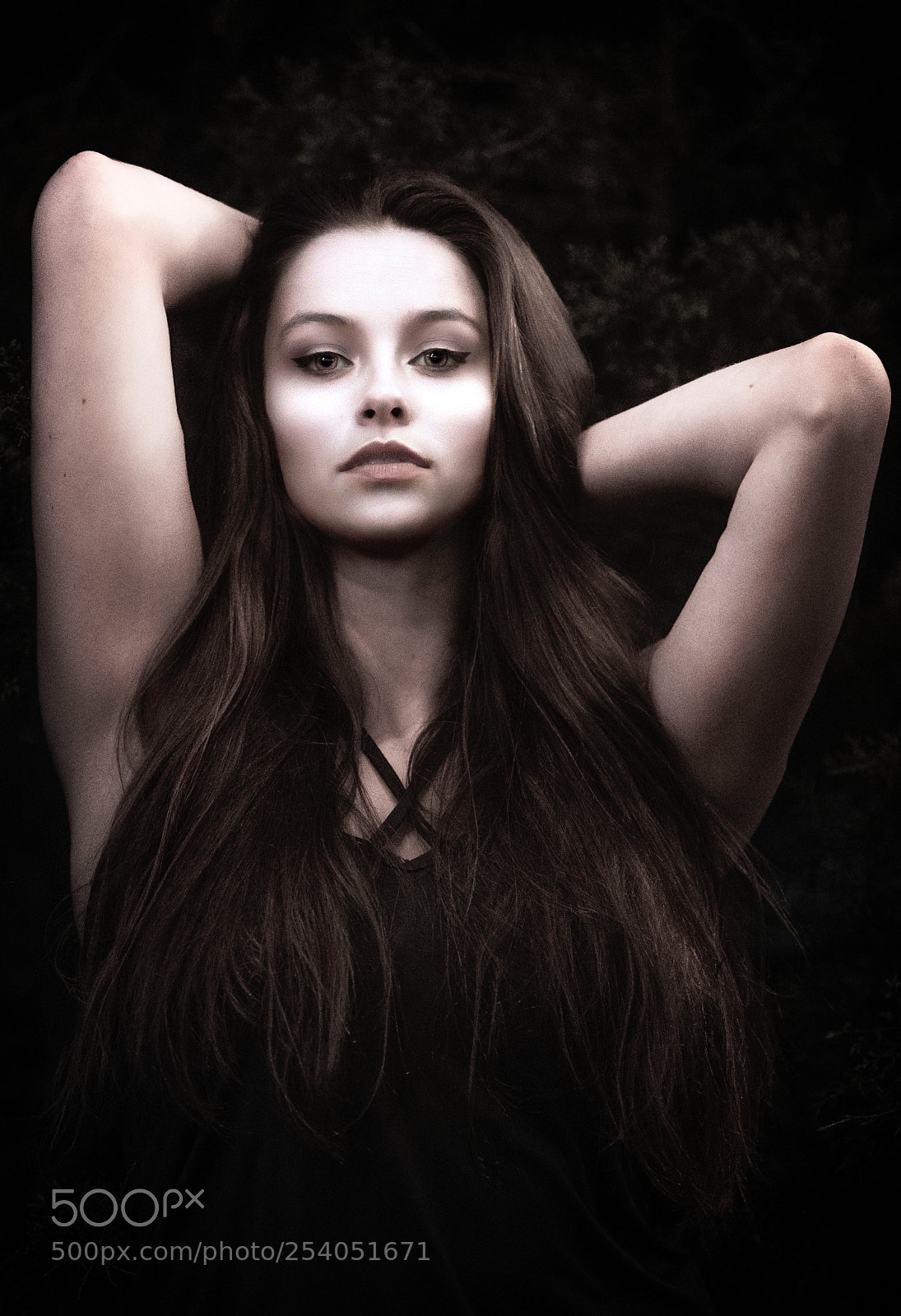 Nikon D850 sample photo. Twilght photography