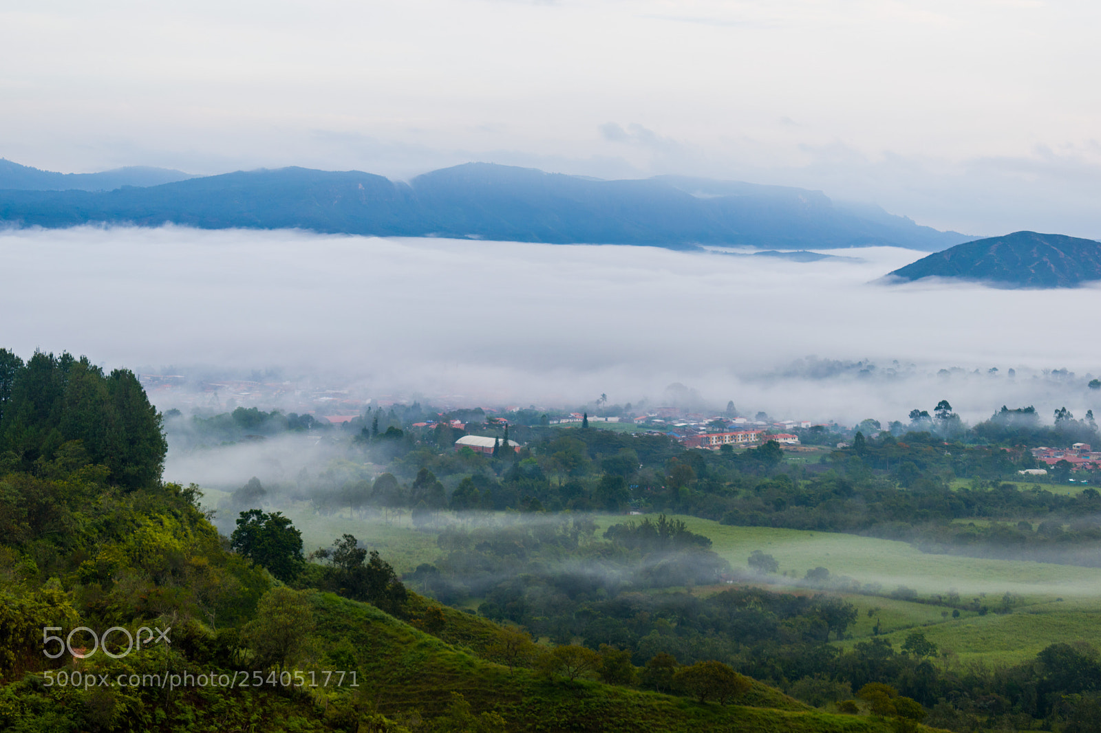 Nikon D5600 sample photo. Beautiful rural dawn photography