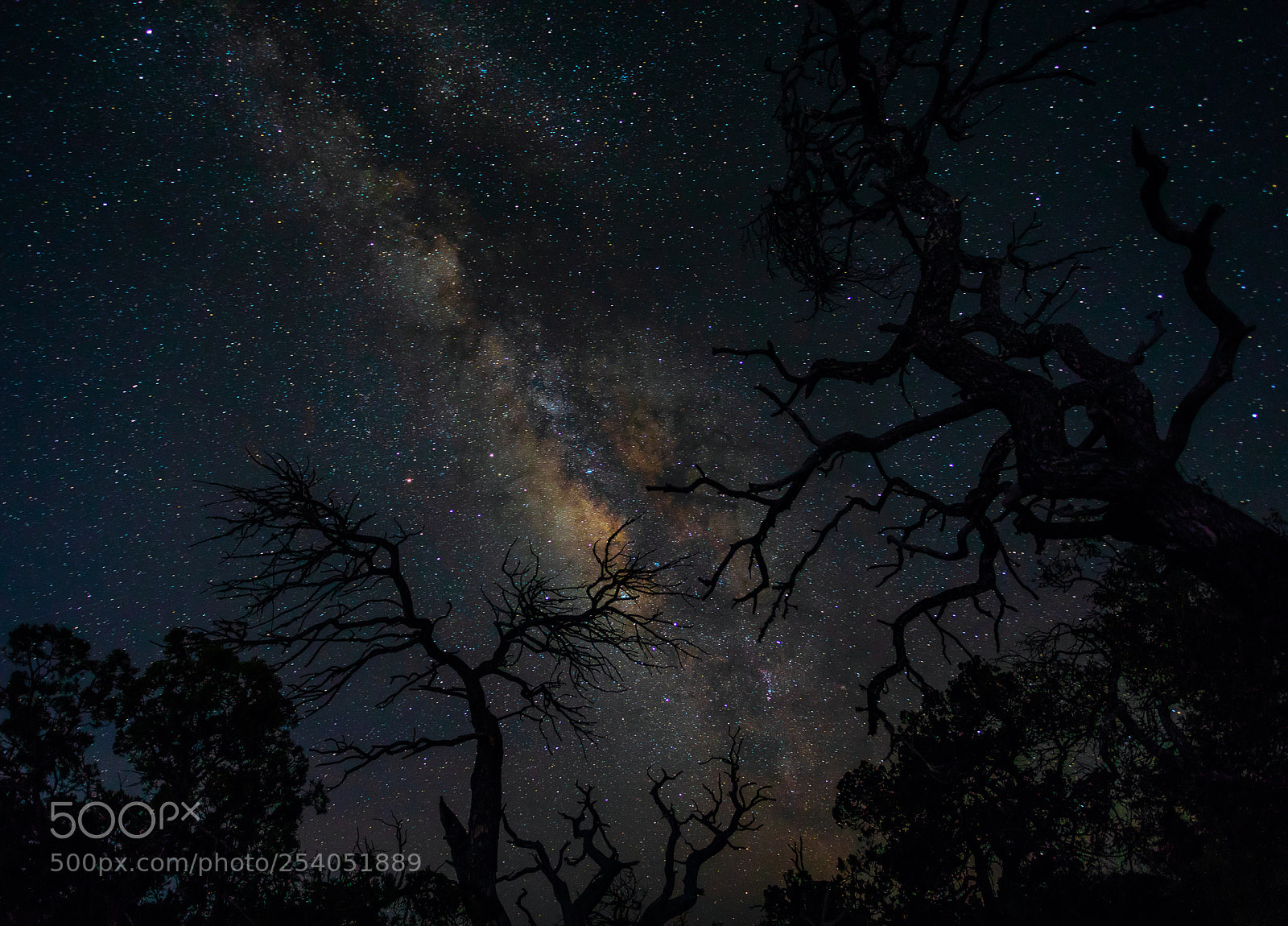 Canon EOS 5D Mark IV sample photo. Big bend photography