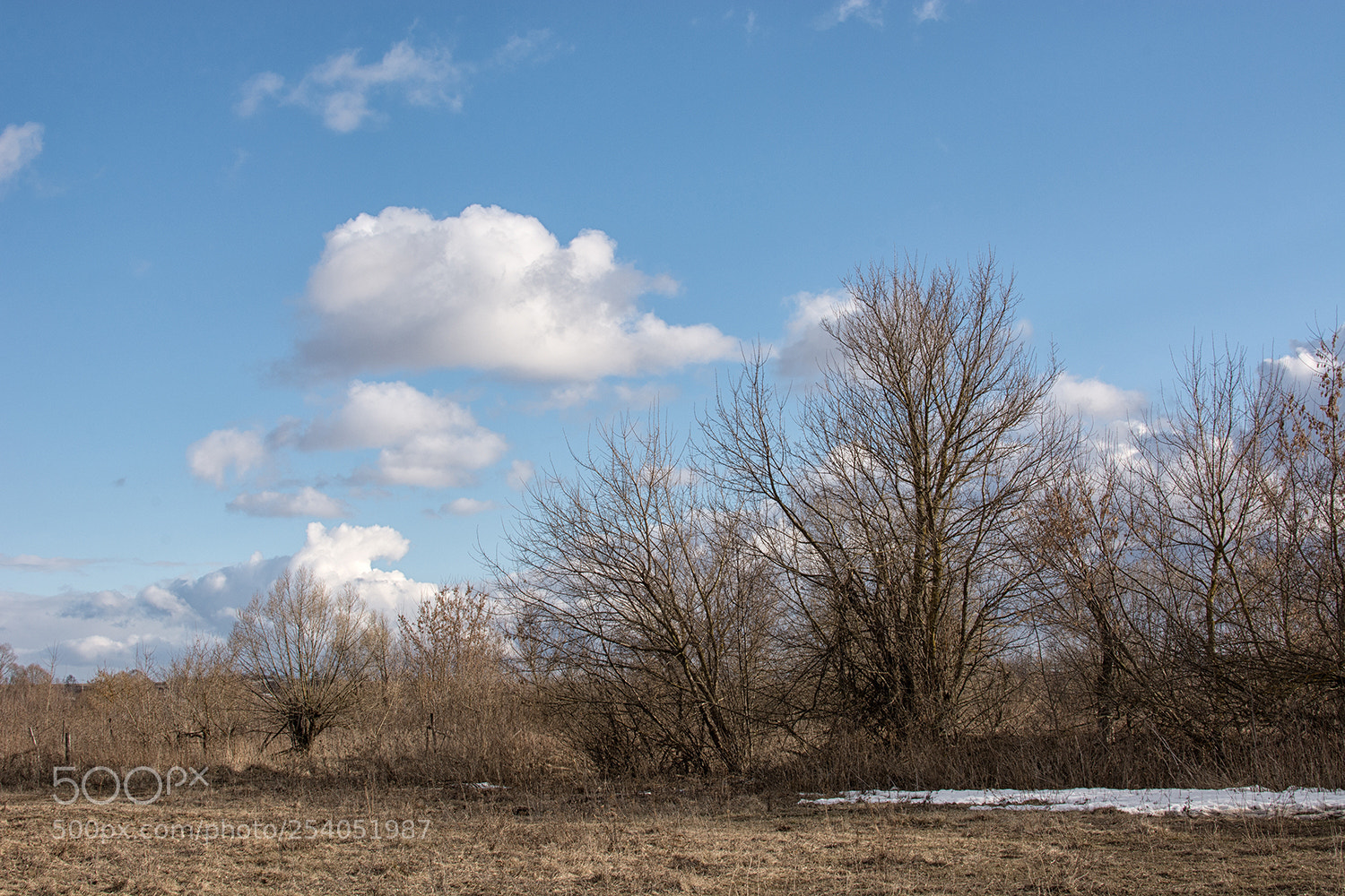 Nikon D7100 sample photo. Плывут, фатой небесною качая... photography