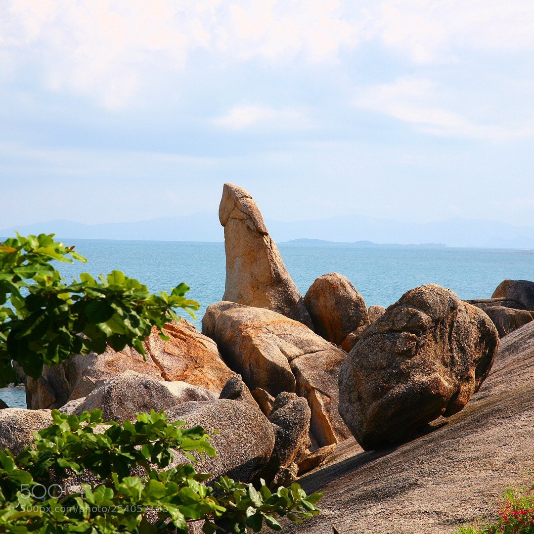 Canon EOS 5D sample photo. Img photography
