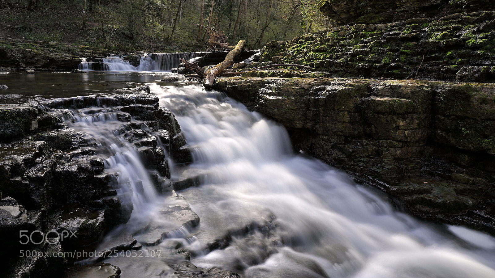 Canon EOS 5D Mark IV sample photo. Fr hling an der photography