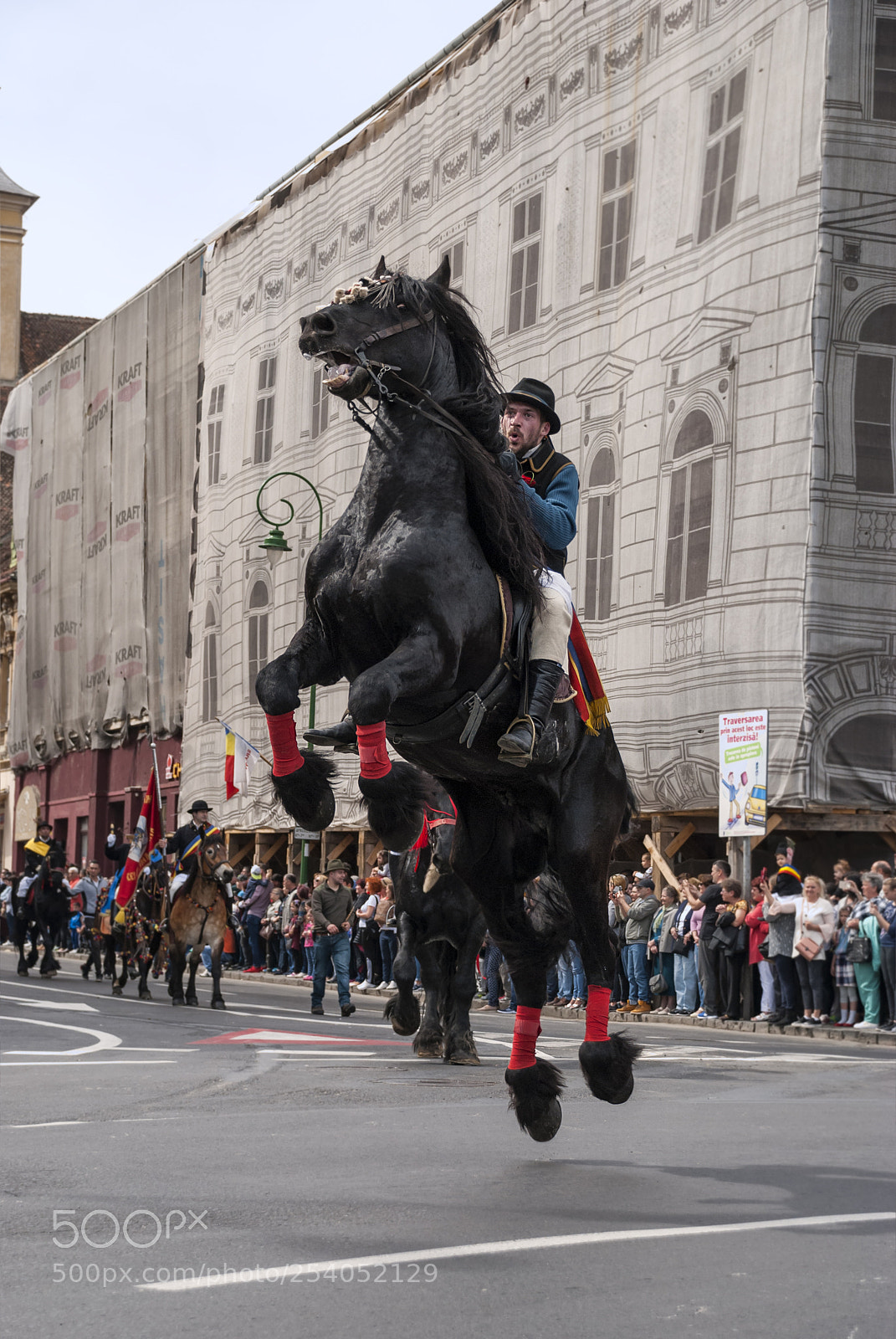 Nikon D80 sample photo. Athletic horse photography