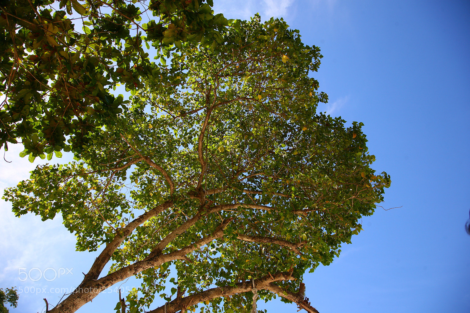 Canon EOS 5D sample photo. Img photography