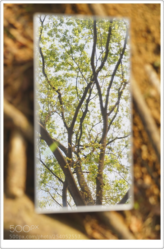 Sony a6000 sample photo. Untitled photography