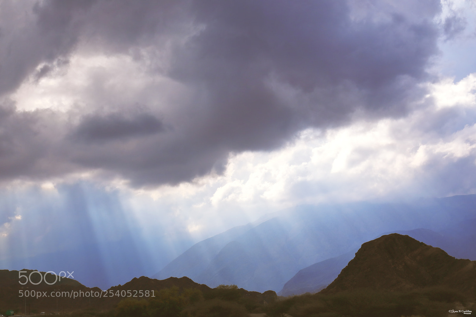 Canon EOS 5D Mark IV sample photo. The rays photography