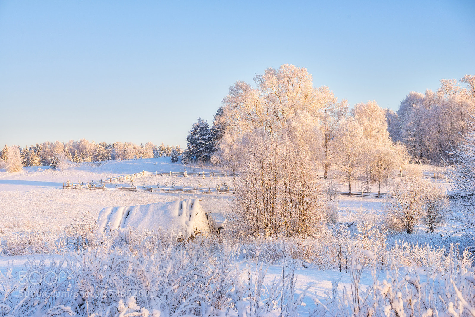 Nikon D610 sample photo. 902. winter in the photography