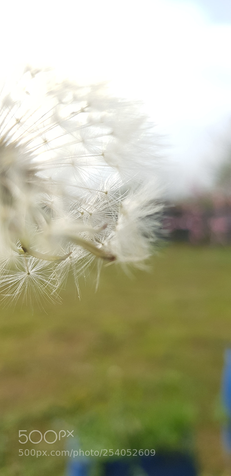 Samsung Galaxy S8 sample photo. Untitled photography