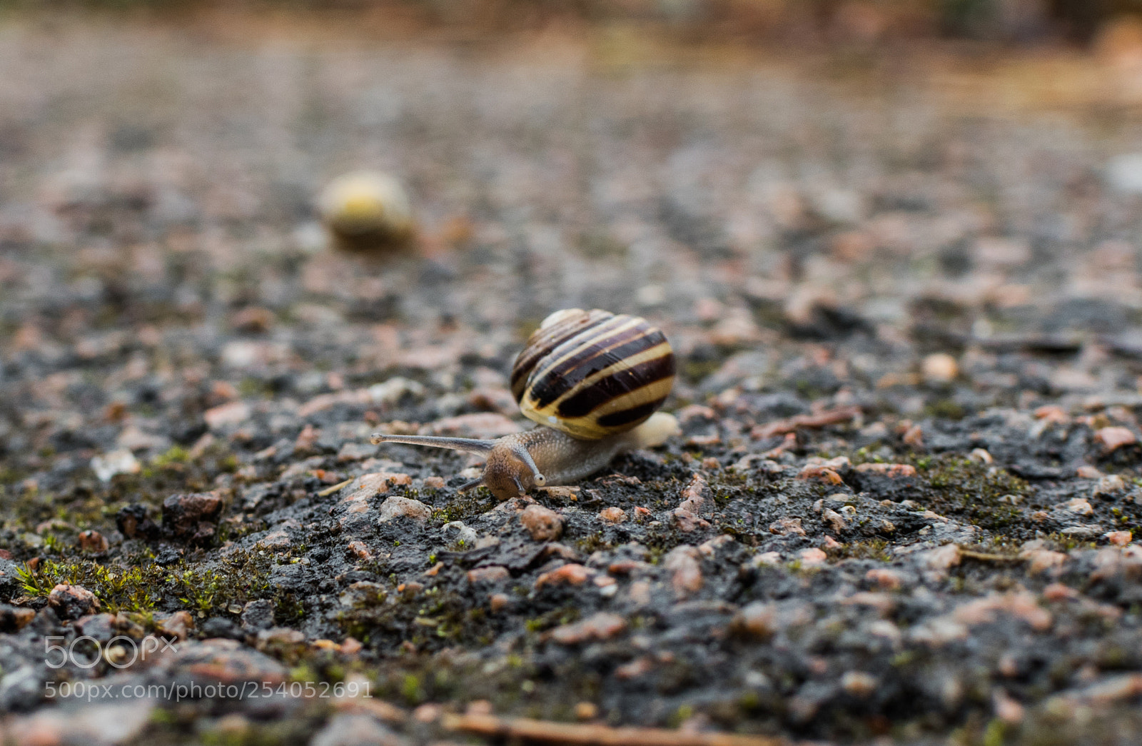 Nikon D5500 sample photo. Rien ne sert de photography