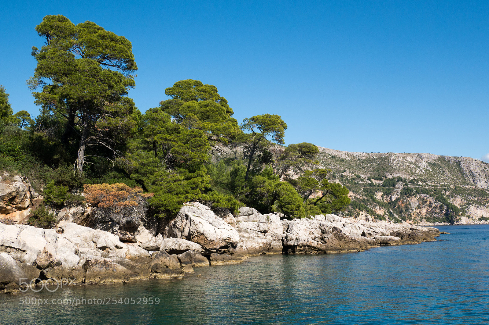 Panasonic DMC-G81 sample photo. Island lokrum photography