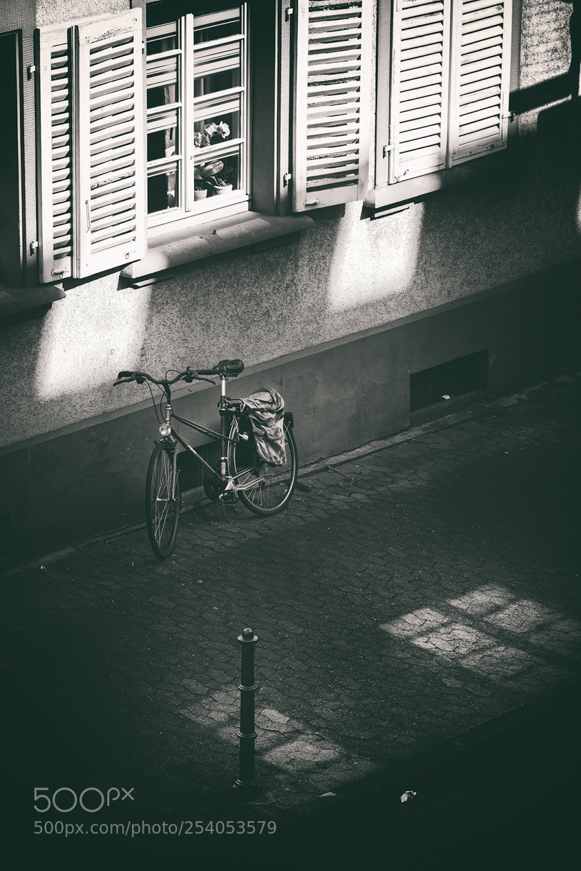 Pentax K-1 sample photo. Shadows and reflections photography