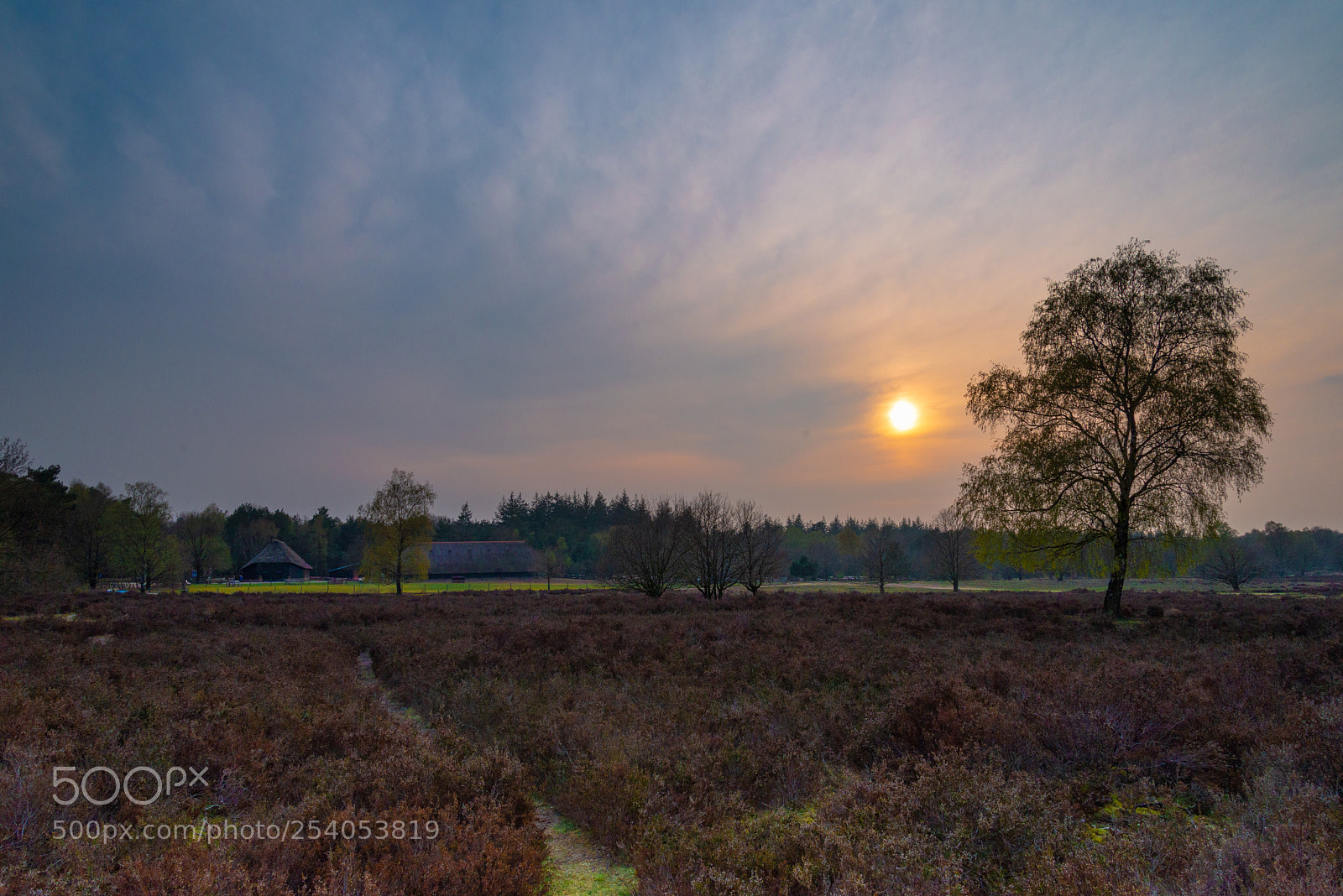 Nikon D610 sample photo. Schaapskooi bij drie photography