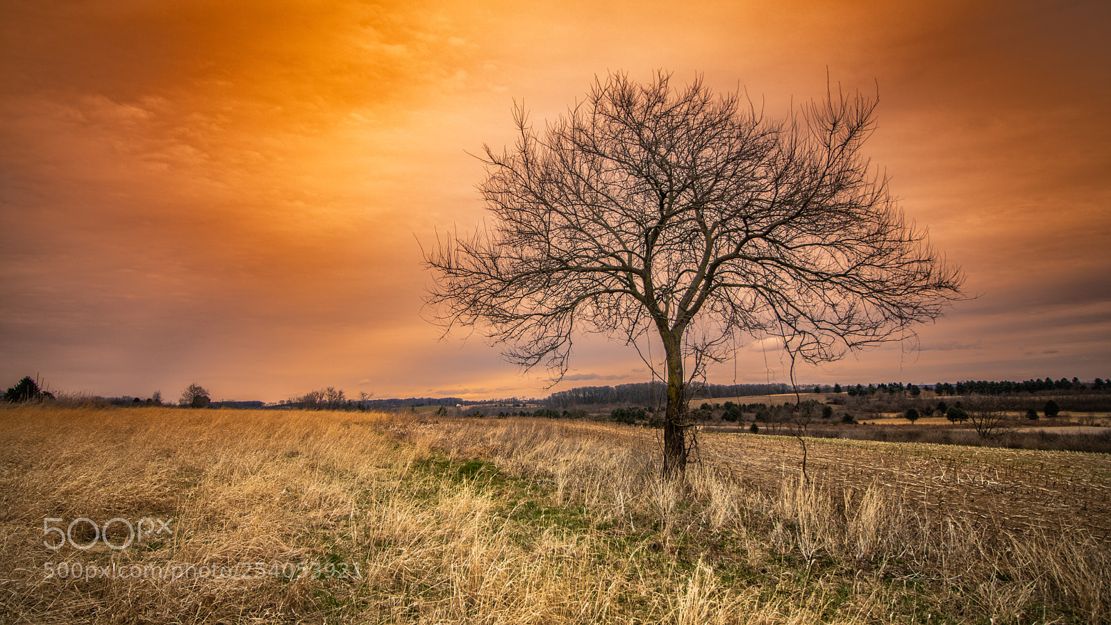 Canon EOS 80D sample photo. Sunrise at bernville photography