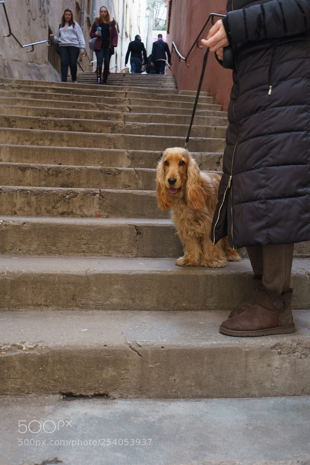 Sony a7 II sample photo. On the stairway photography