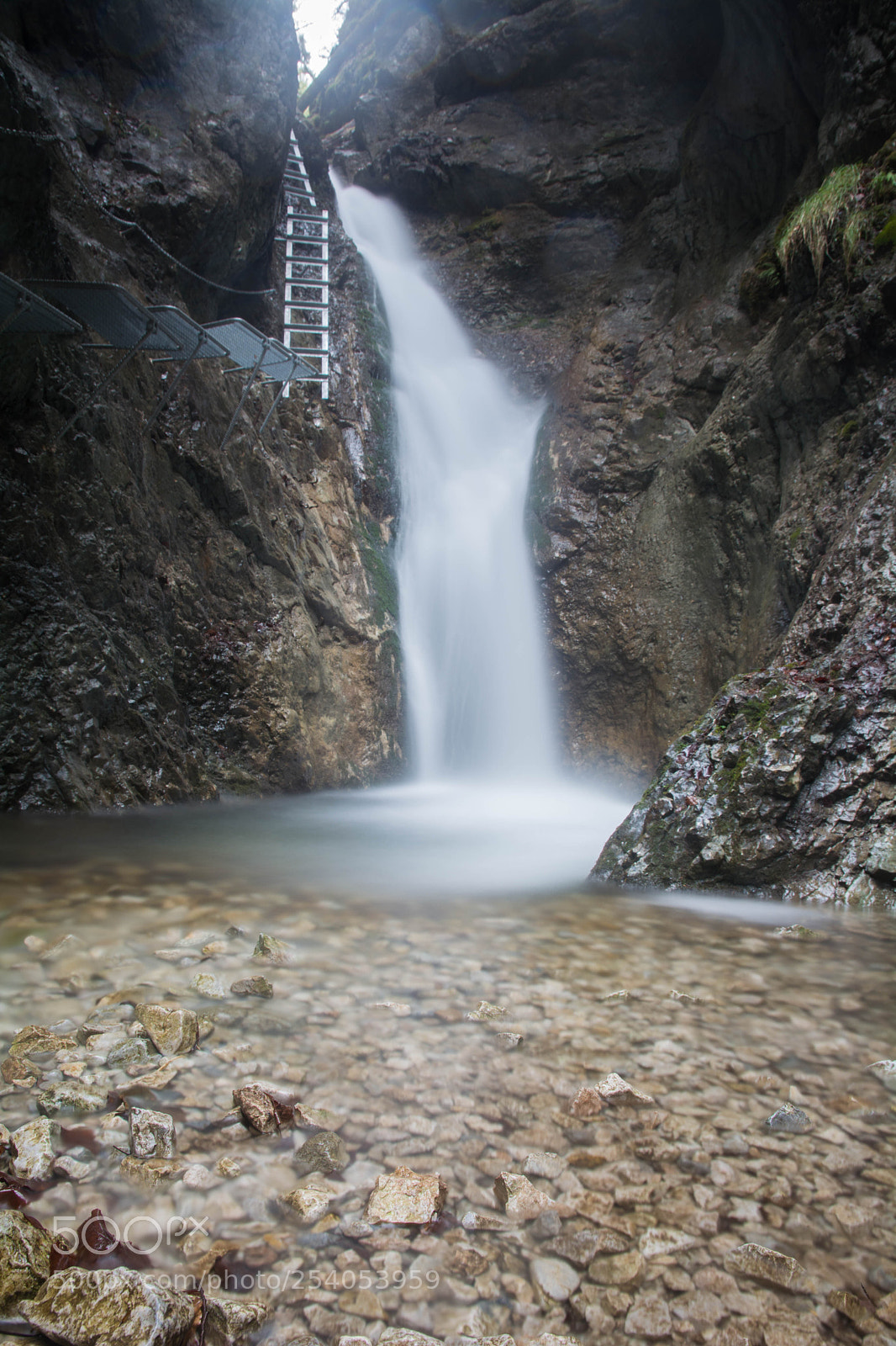 Nikon D5200 sample photo. Velky sokol photography