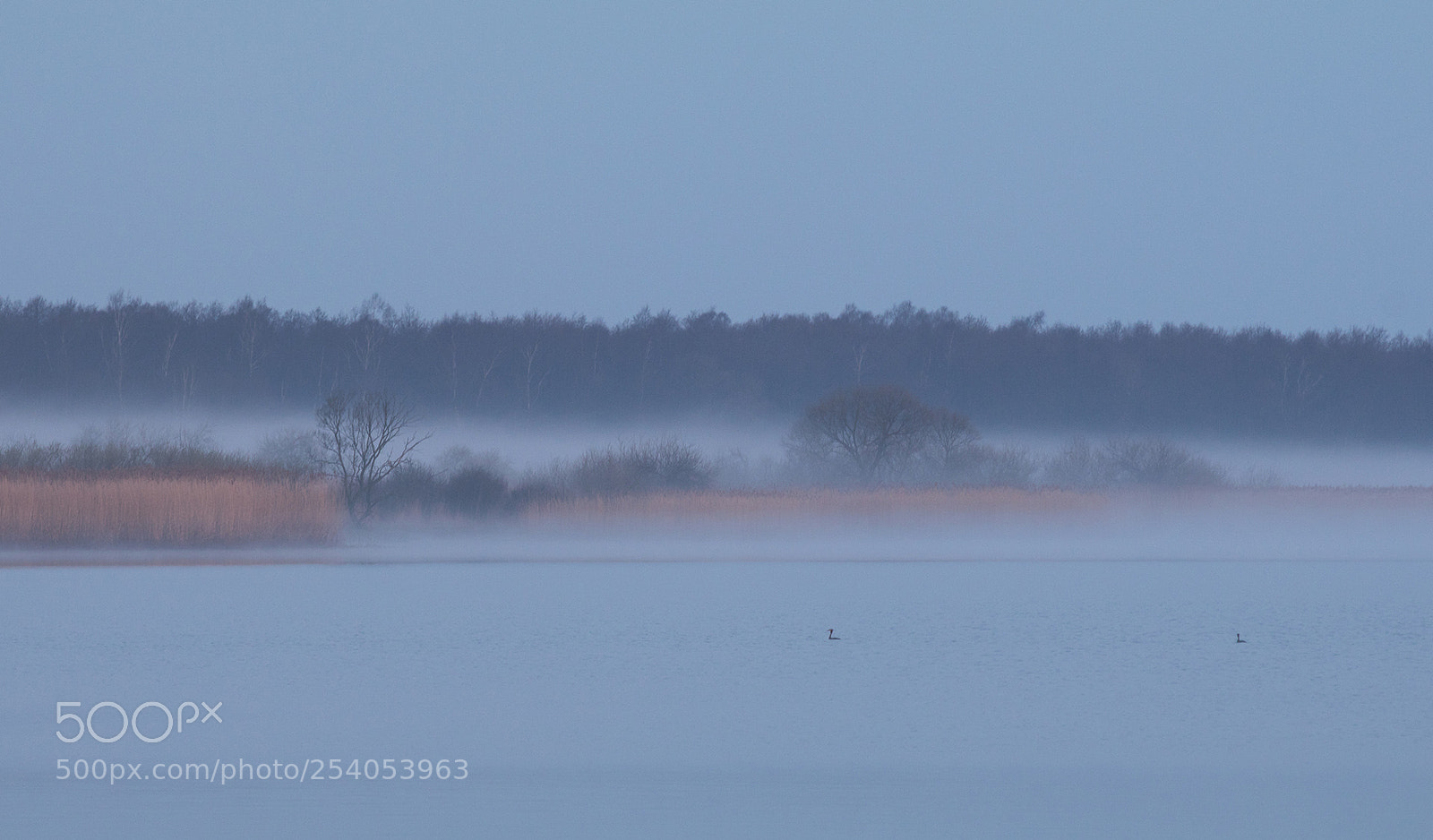 Canon EOS 80D sample photo. Foggy morning photography