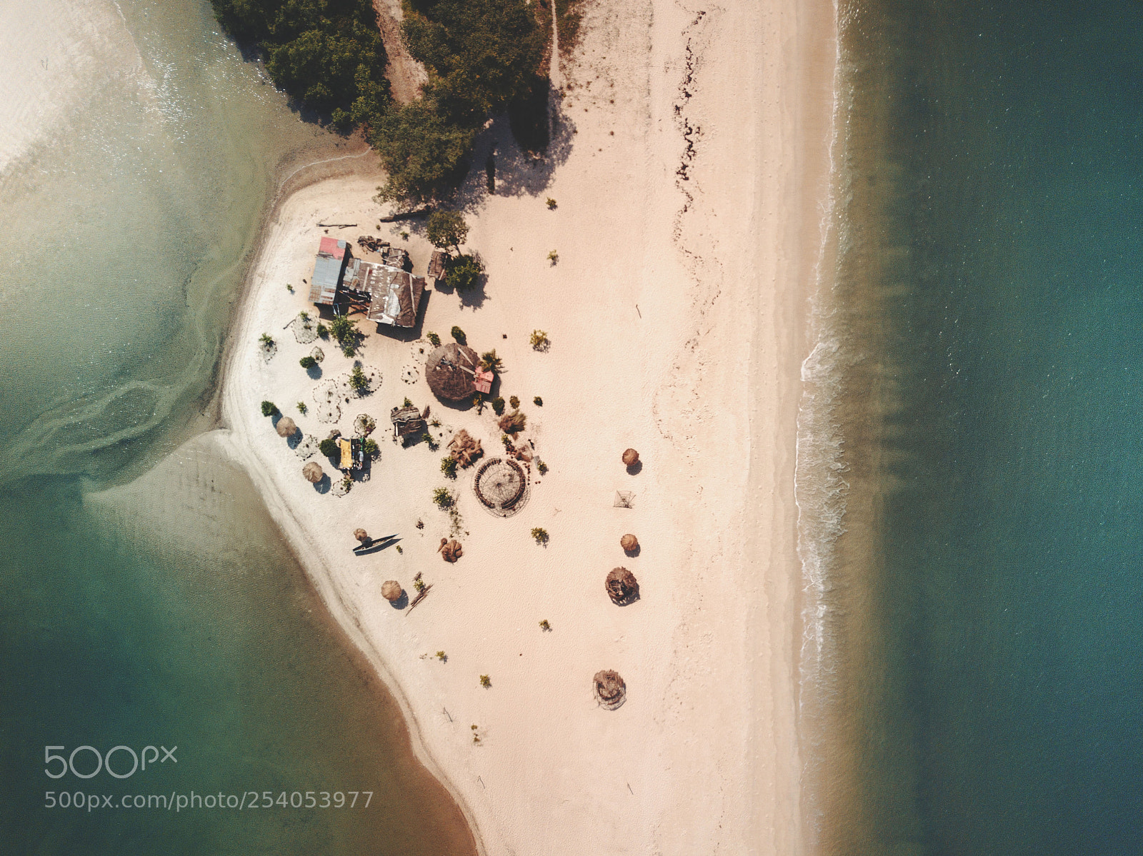 DJI FC220 sample photo. Lions photography