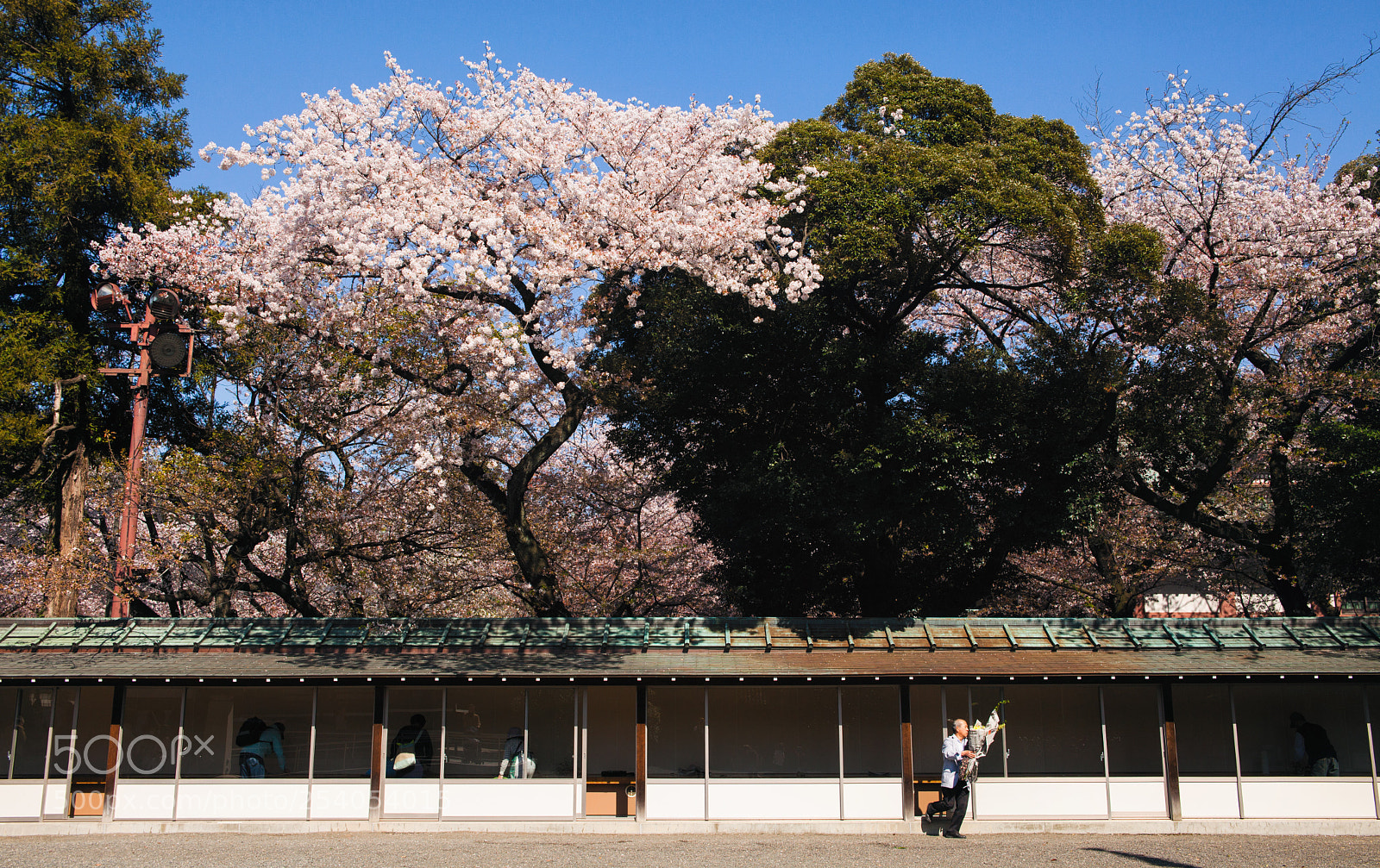 Canon EOS 5D Mark II sample photo. 7234 photography