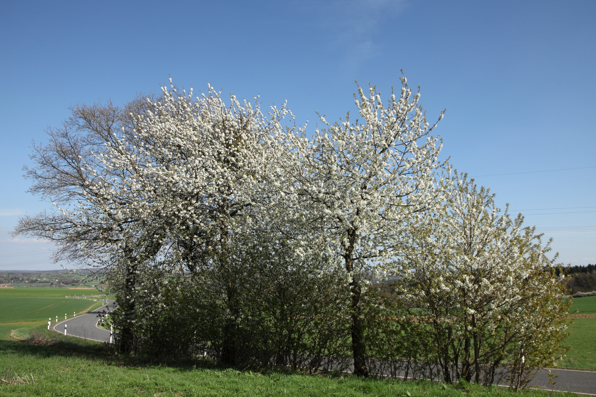 Canon EF 24-105mm F3.5-5.6 IS STM sample photo. The countryside photography