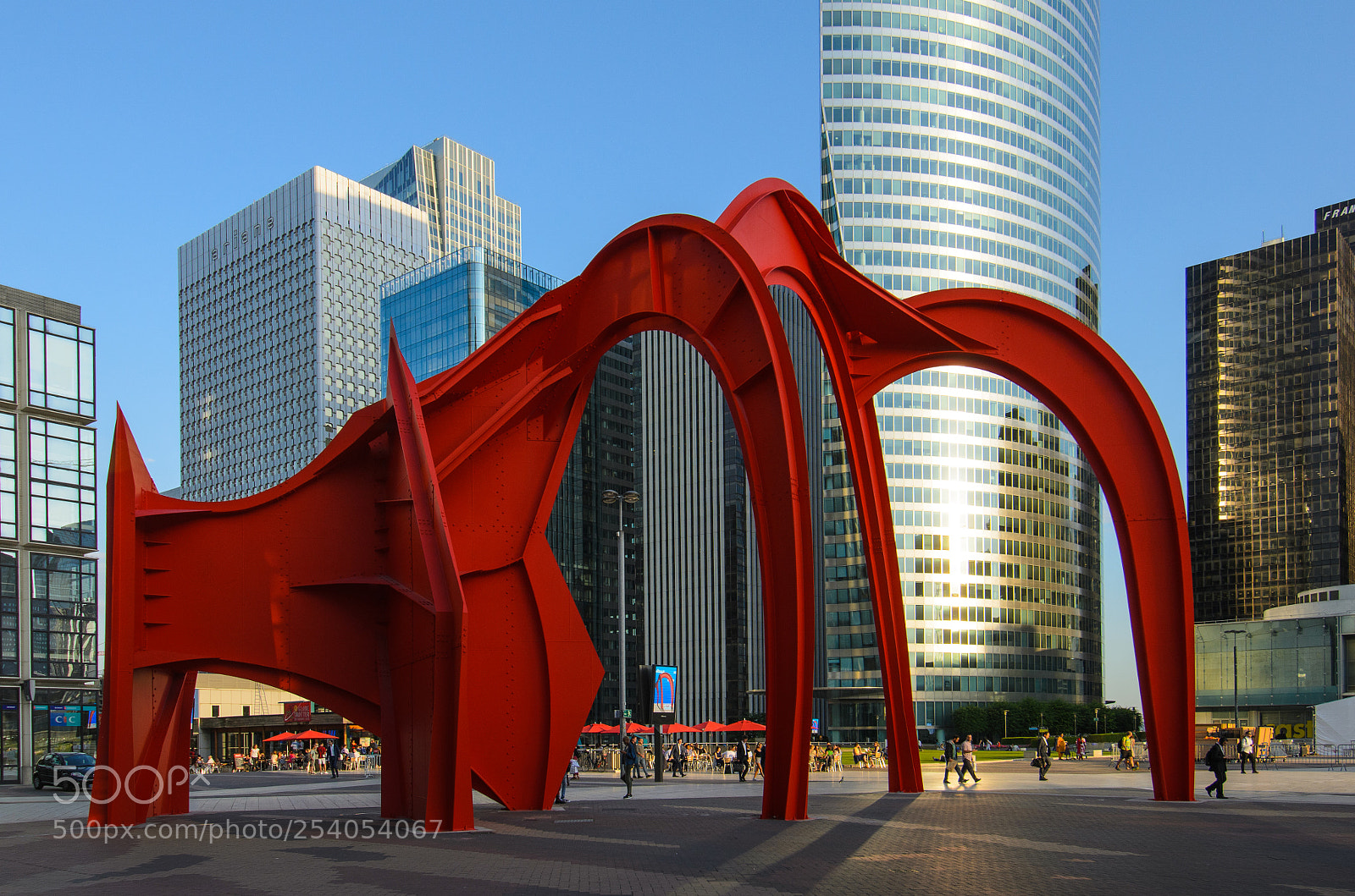 Nikon D7000 sample photo. Red spider photography