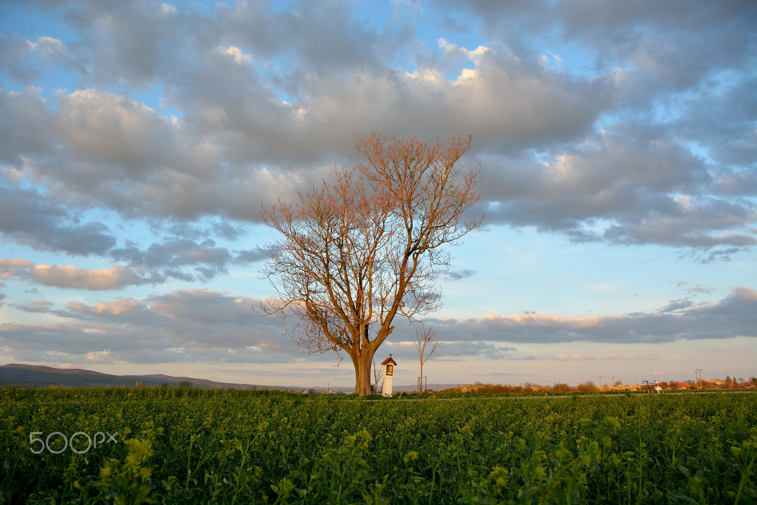 Sigma 17-50mm F2.8 EX DC OS HSM sample photo. ... by the end of the day ... photography