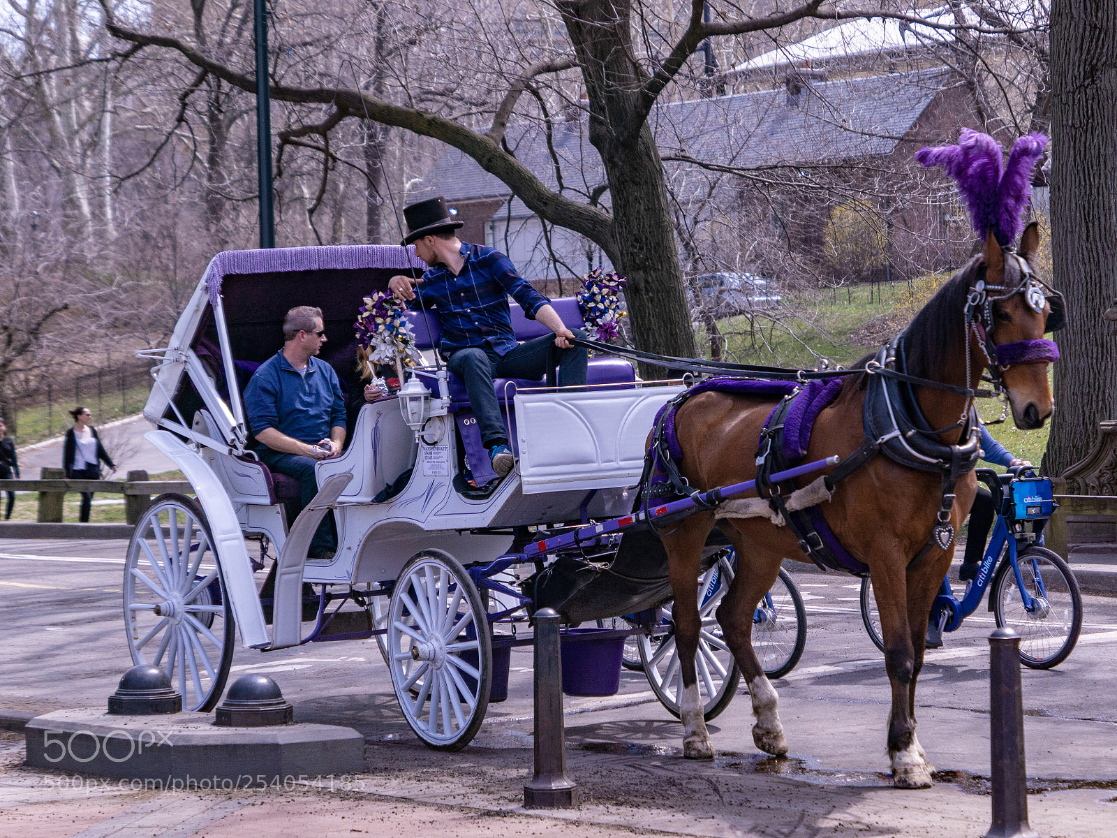 Sony ILCA-77M2 sample photo.  carriage ride..
 photography