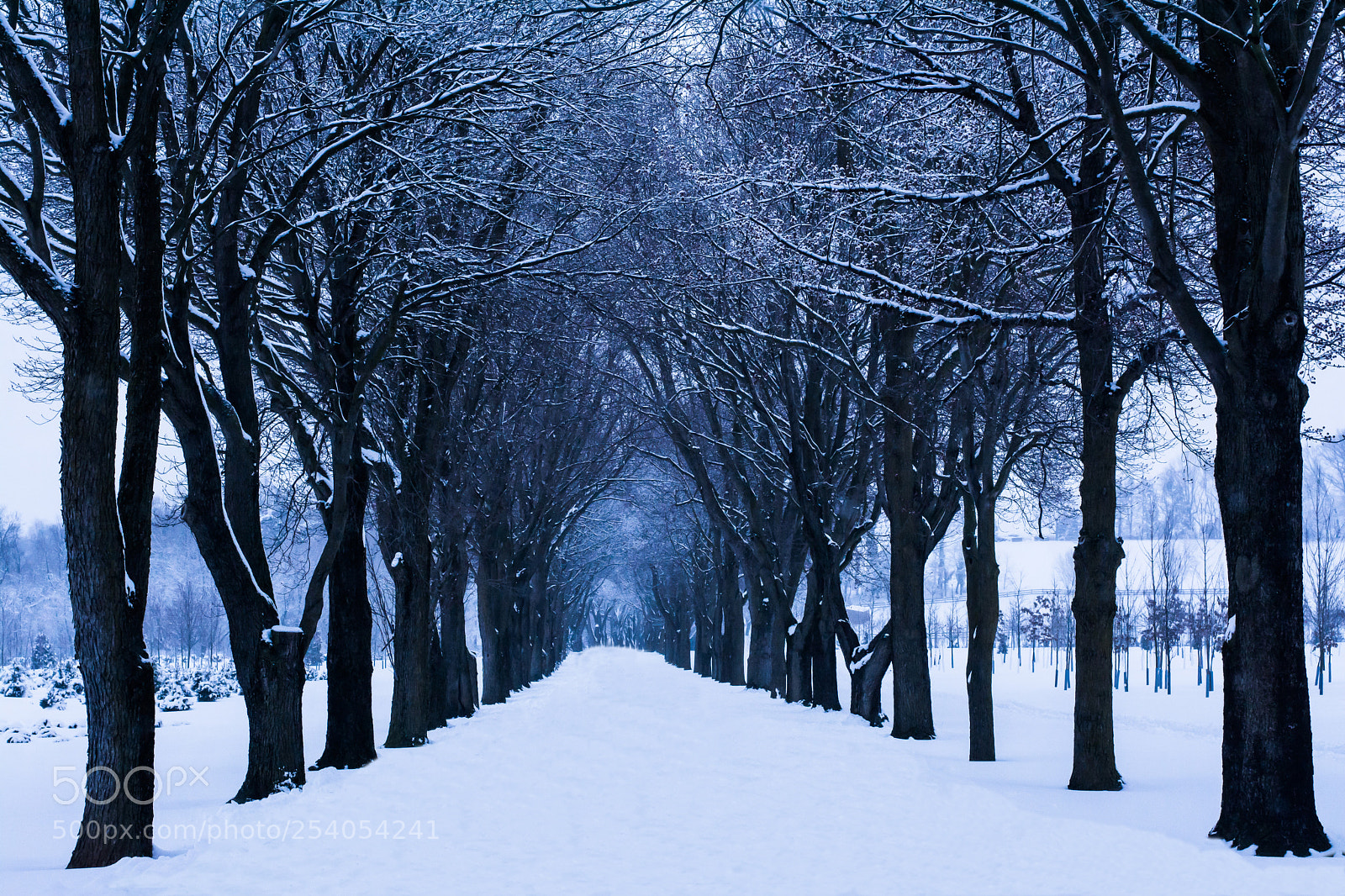 Nikon D7100 sample photo. Nor'easter photography