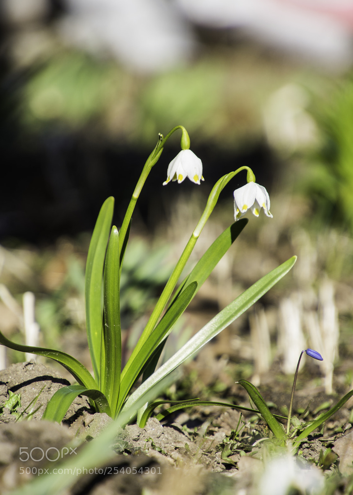 Nikon D7200 sample photo. 3. photography