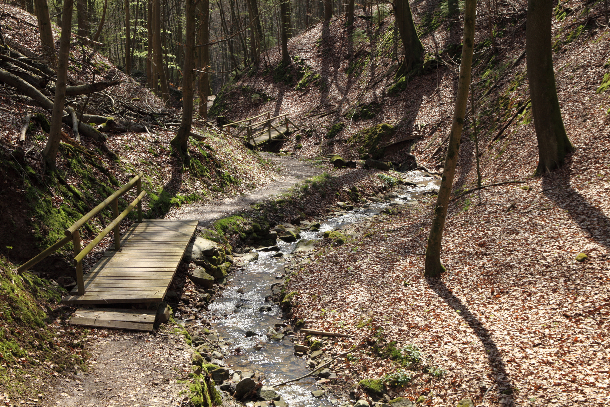Canon EF 24-105mm F3.5-5.6 IS STM sample photo. The brook photography