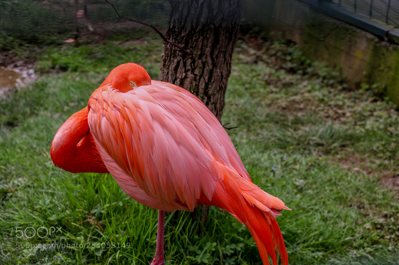 Canon EOS 80D sample photo. Untitled photography