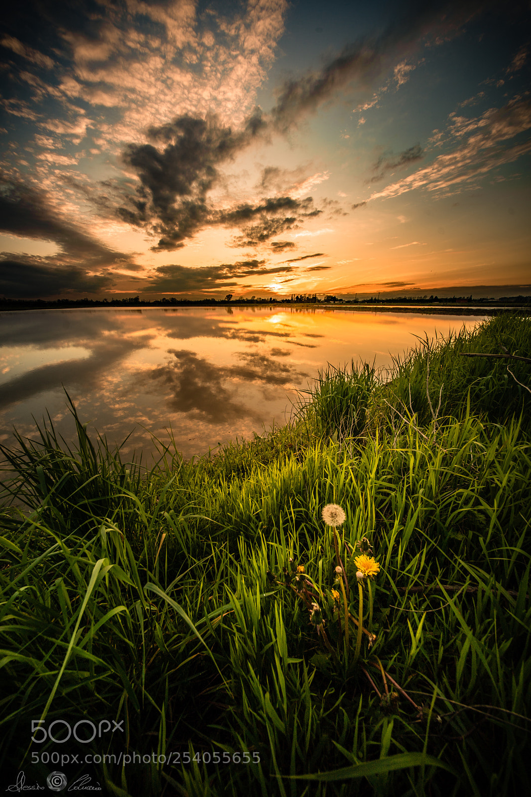 Sony a9 sample photo. Good evening ;) photography