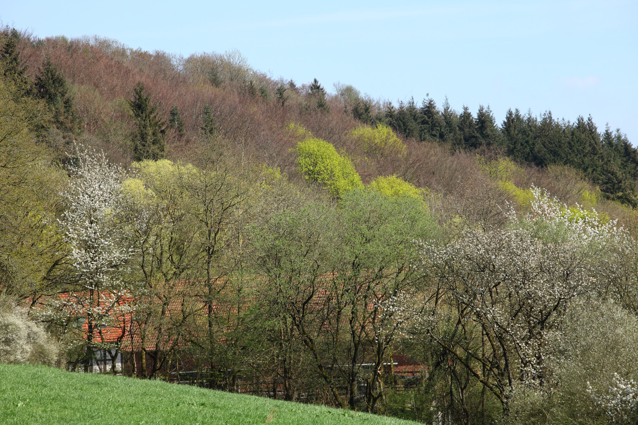 Canon EF 70-200mm F4L USM sample photo. The colors of the spring photography