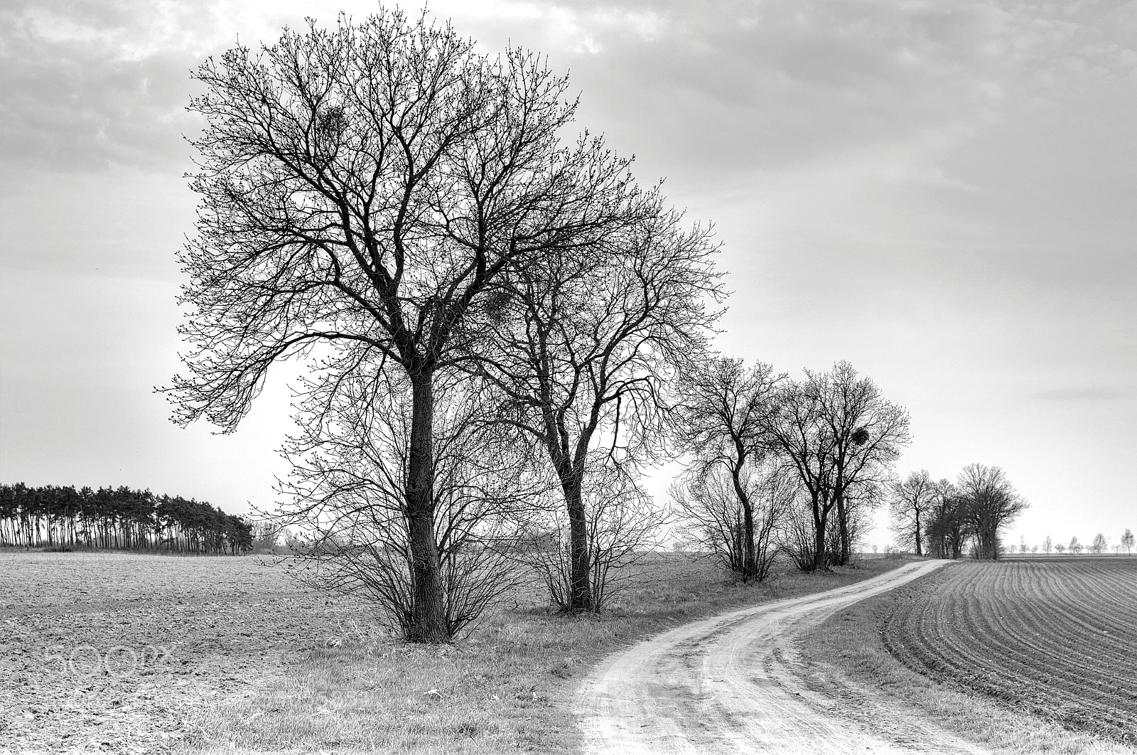 Pentax K-30 sample photo. Country road photography